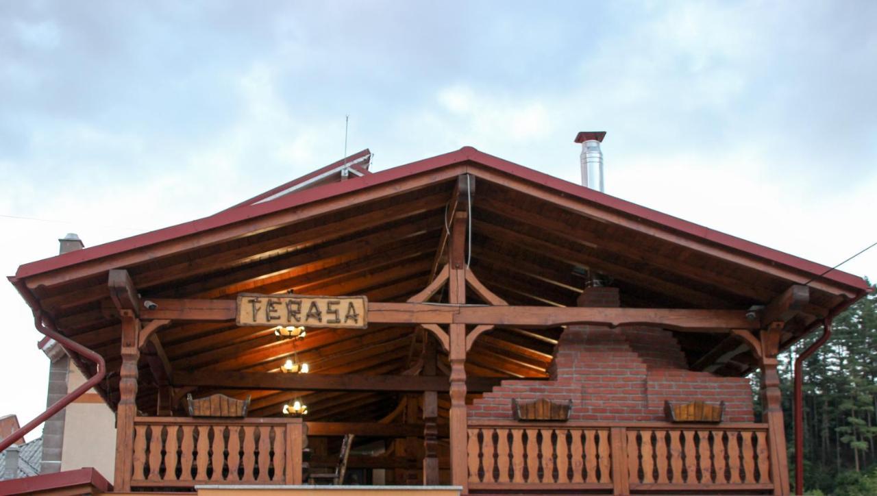 Hotel Corina Borşa Εξωτερικό φωτογραφία